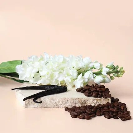 ▪️FRAGRANCE DESCRIPTION - Black opium type